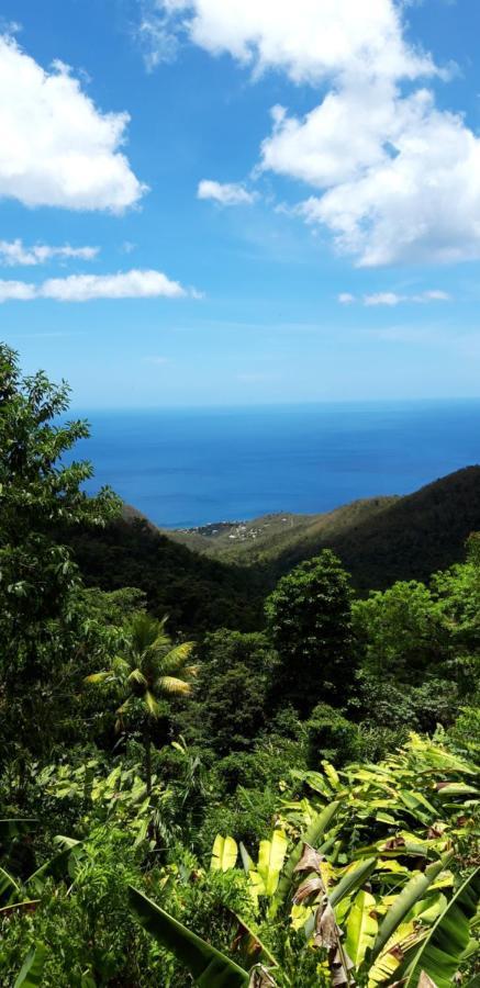 Cote Caraibes Apartman Bouillante Kültér fotó